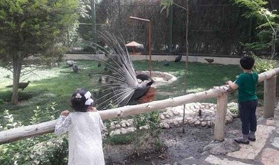 باغ پرندگان - مکان های دیدنی در تعطیلات نوروز برای کودکان